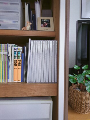 【写真整理のゴールとは？】写真は見てこそ楽しめる！