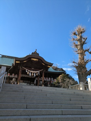 【写真の整理】手放しにくい写真の手放し方と、考え方。
